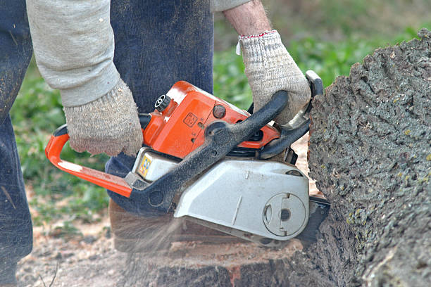 Best Lawn Watering Services  in Six Mile, SC